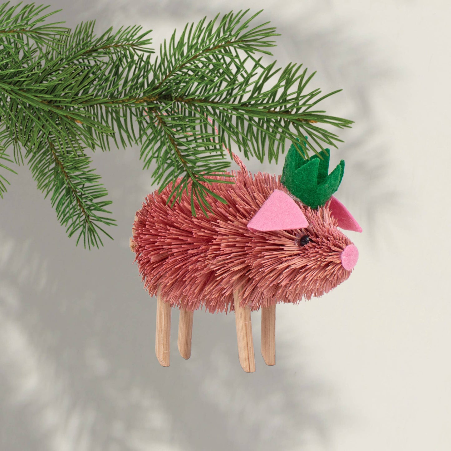 THIE BRISTLE PIG
